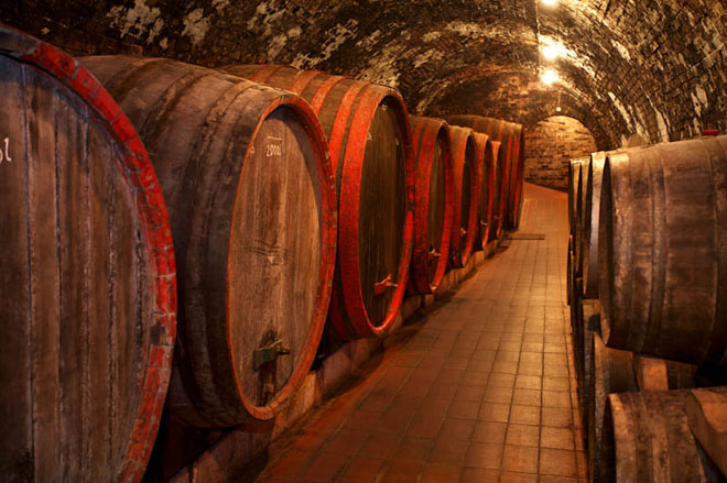 Wine tours
